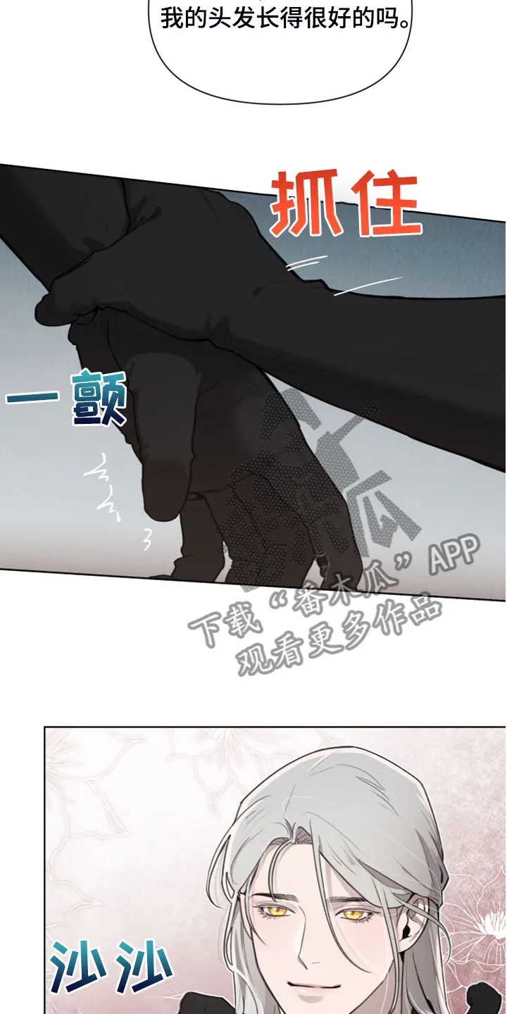 大公子的玩物漫画漫画,第46章：理解了16图