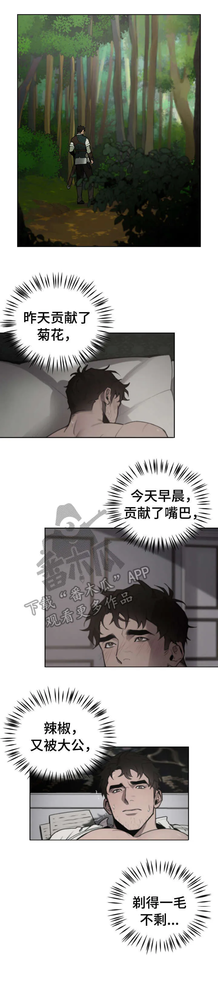 大公子的玩物漫画漫画,第8章：说什么18图
