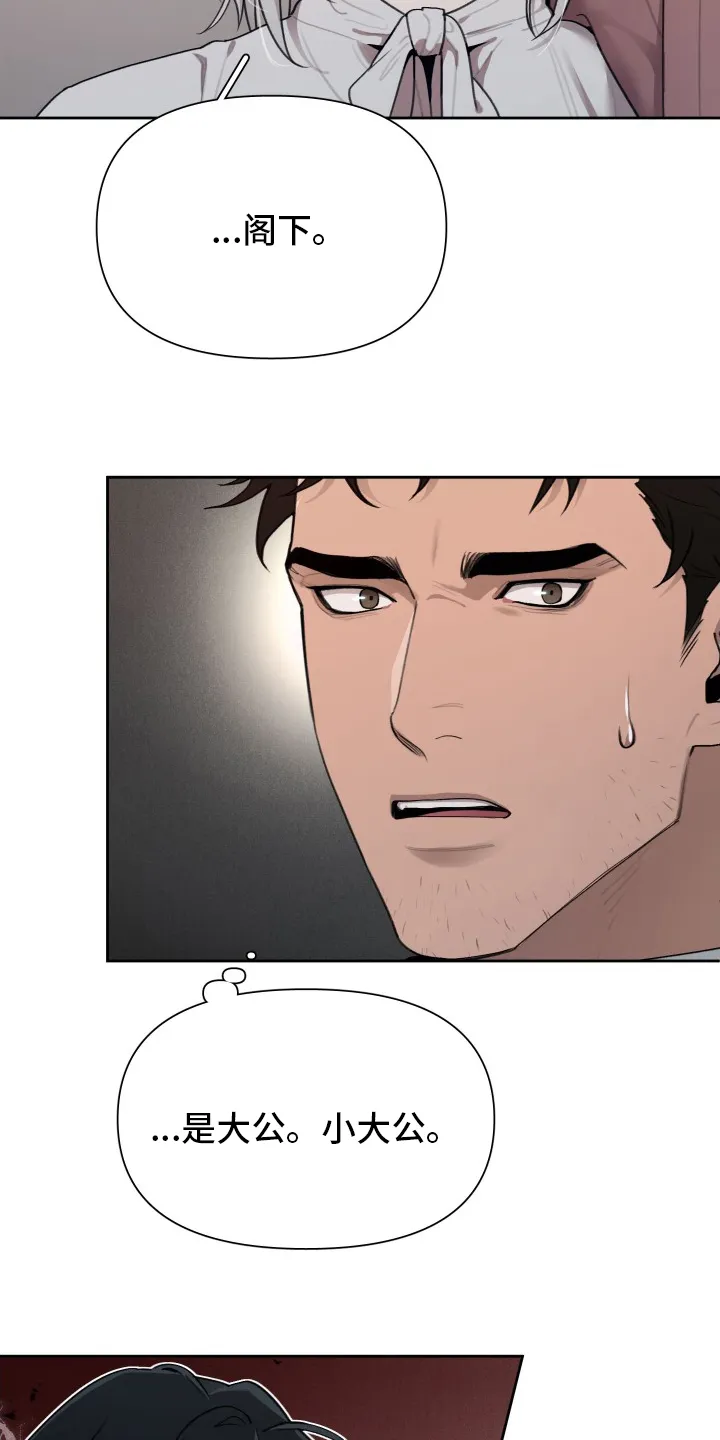 大公子的玩物漫画漫画,第43章：大公的儿子25图