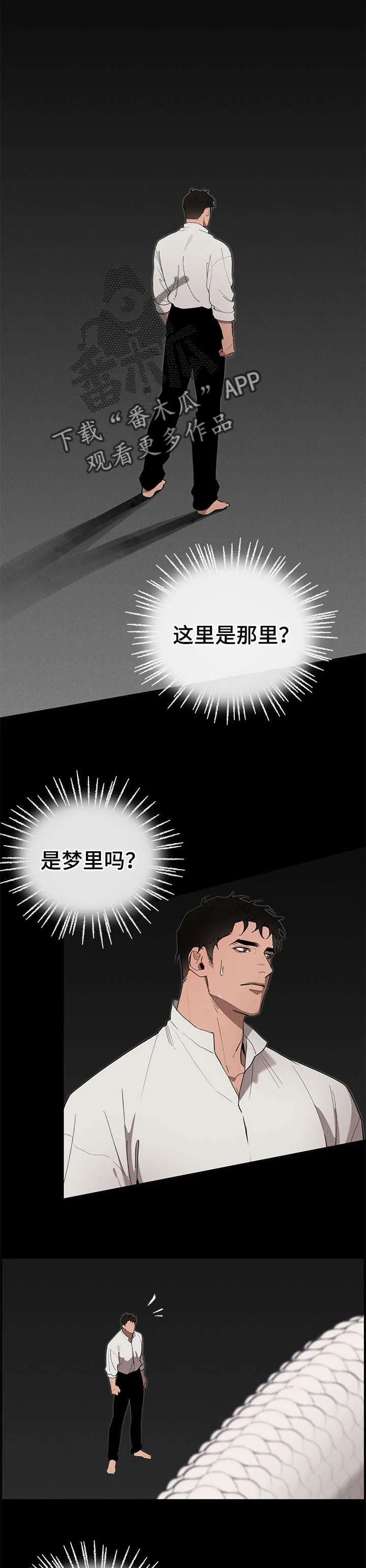 大公子的玩物漫画漫画,第25章：噩梦1图