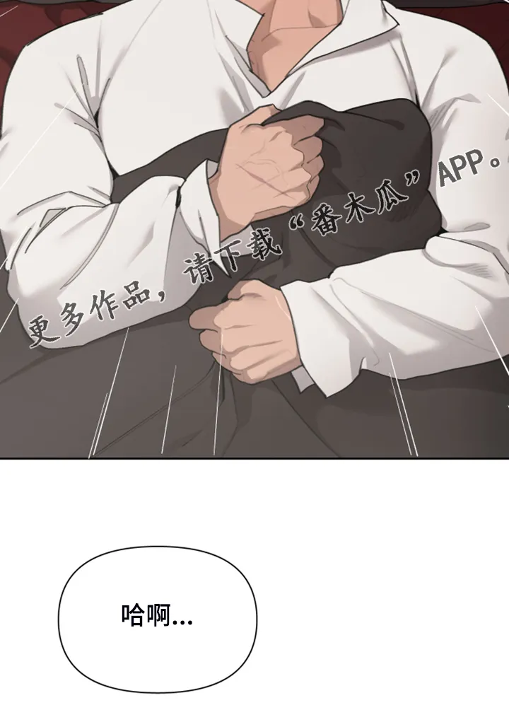 大公子的玩物漫画完整版漫画,第48章：上马车33图