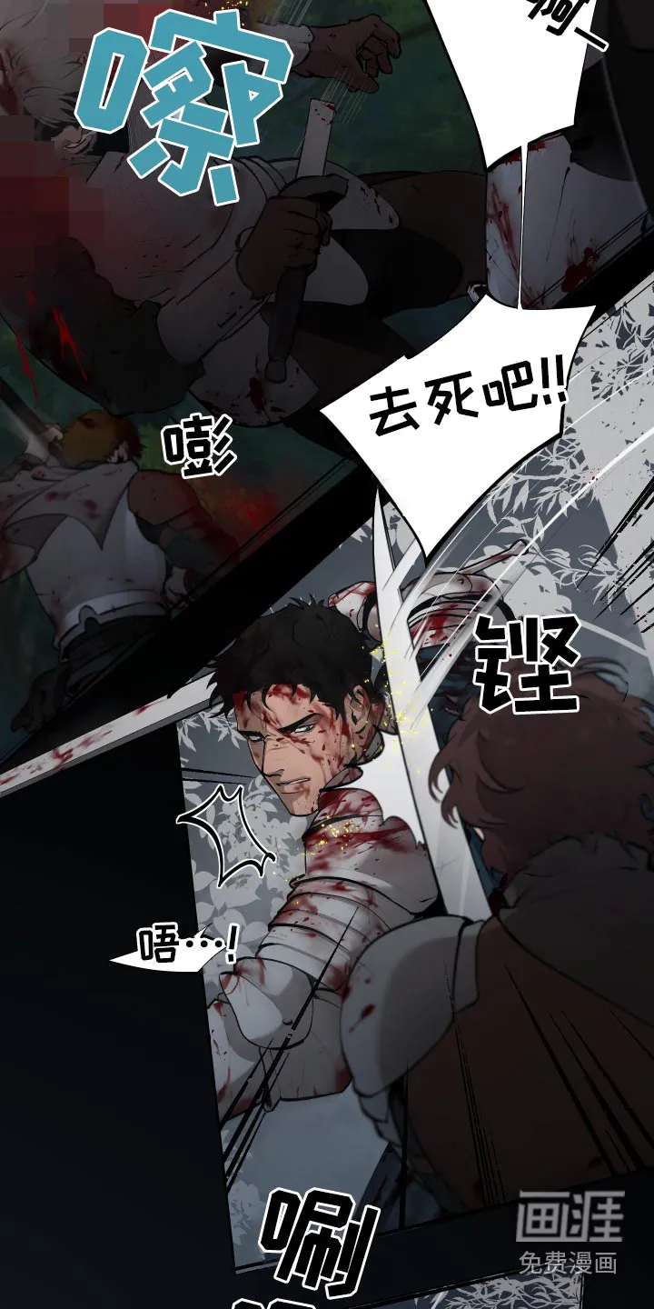 大公子子阁下的玩具免费阅读漫画,第66章：【番外】我要回去2图