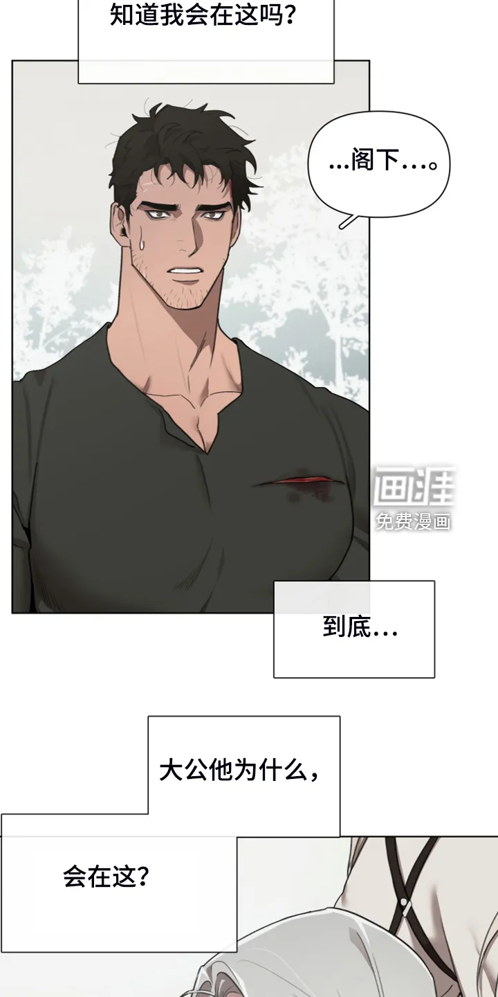 大公子的玩物漫画漫画,第56章：跟我回去吧26图