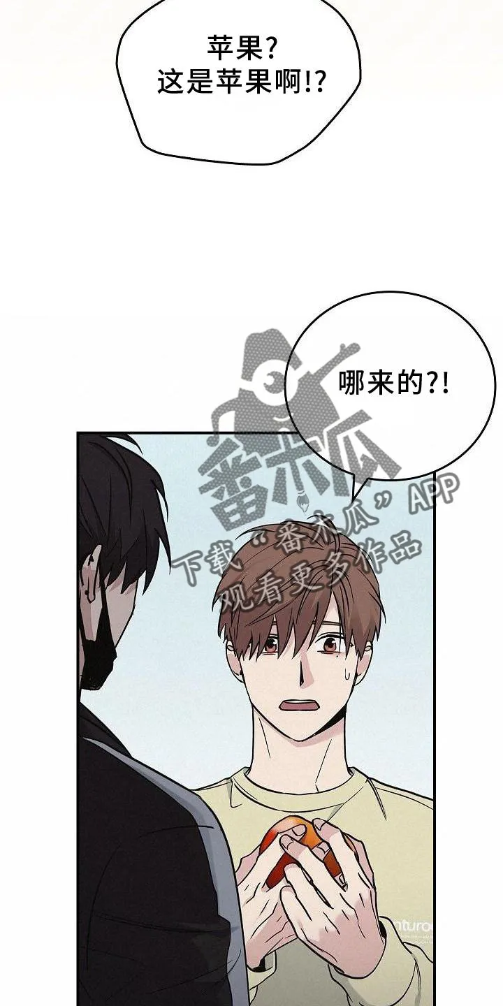 被男人掌控生死漫画漫画,第48章：苹果20图