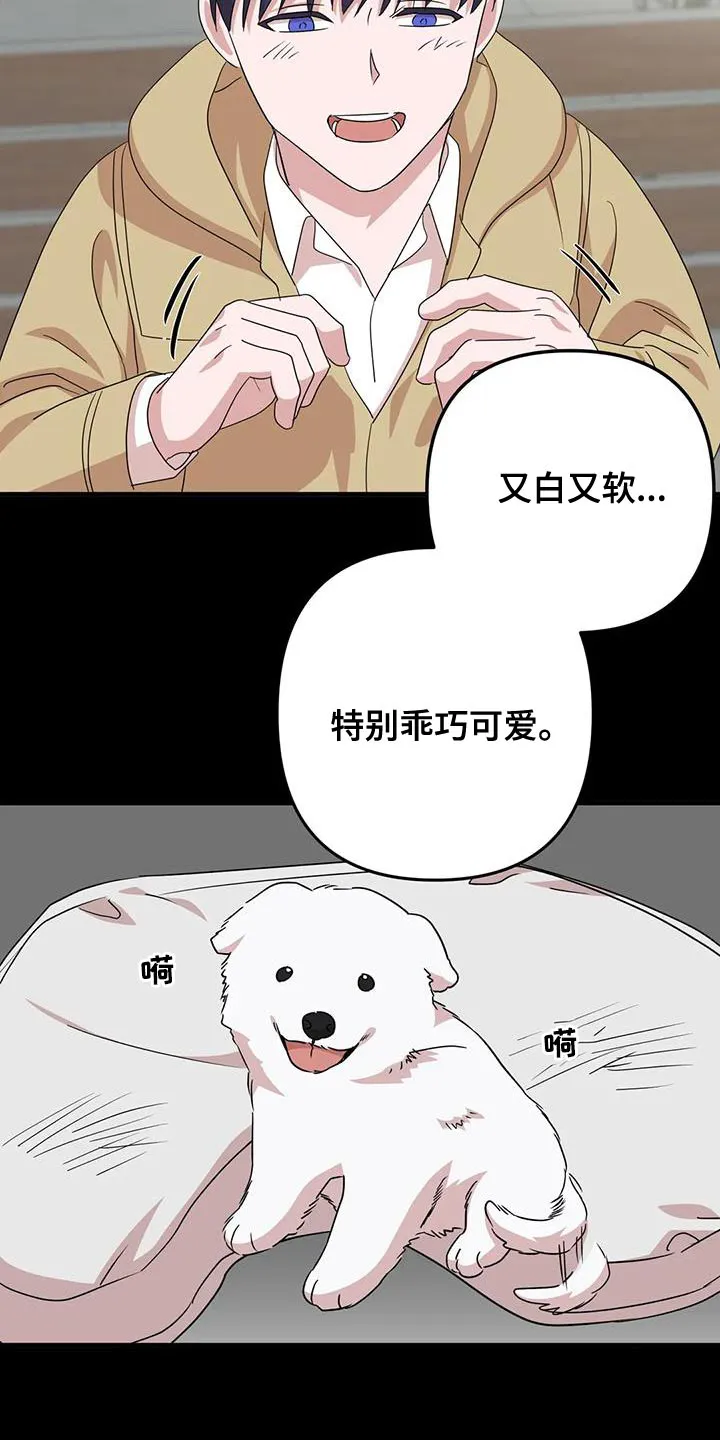 危险的保健医生第一季漫画,第31章：唯一的朋友14图