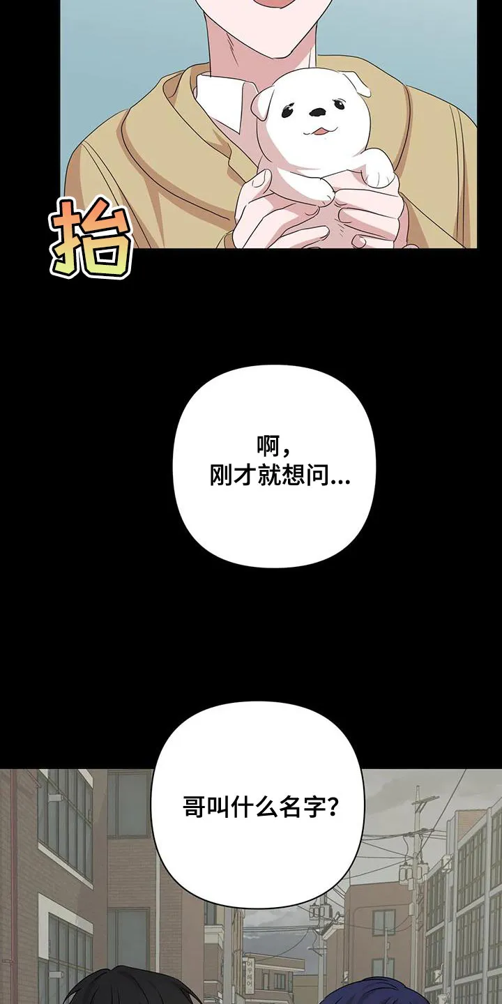 危险保镖漫画漫画,第34章：重新回去比较好4图