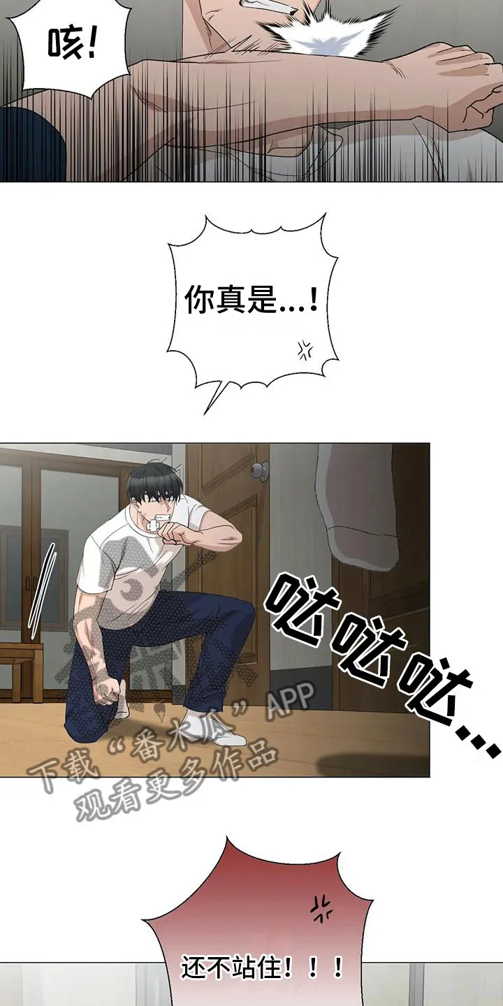 危险保镖漫画漫画,第12章：追赶12图