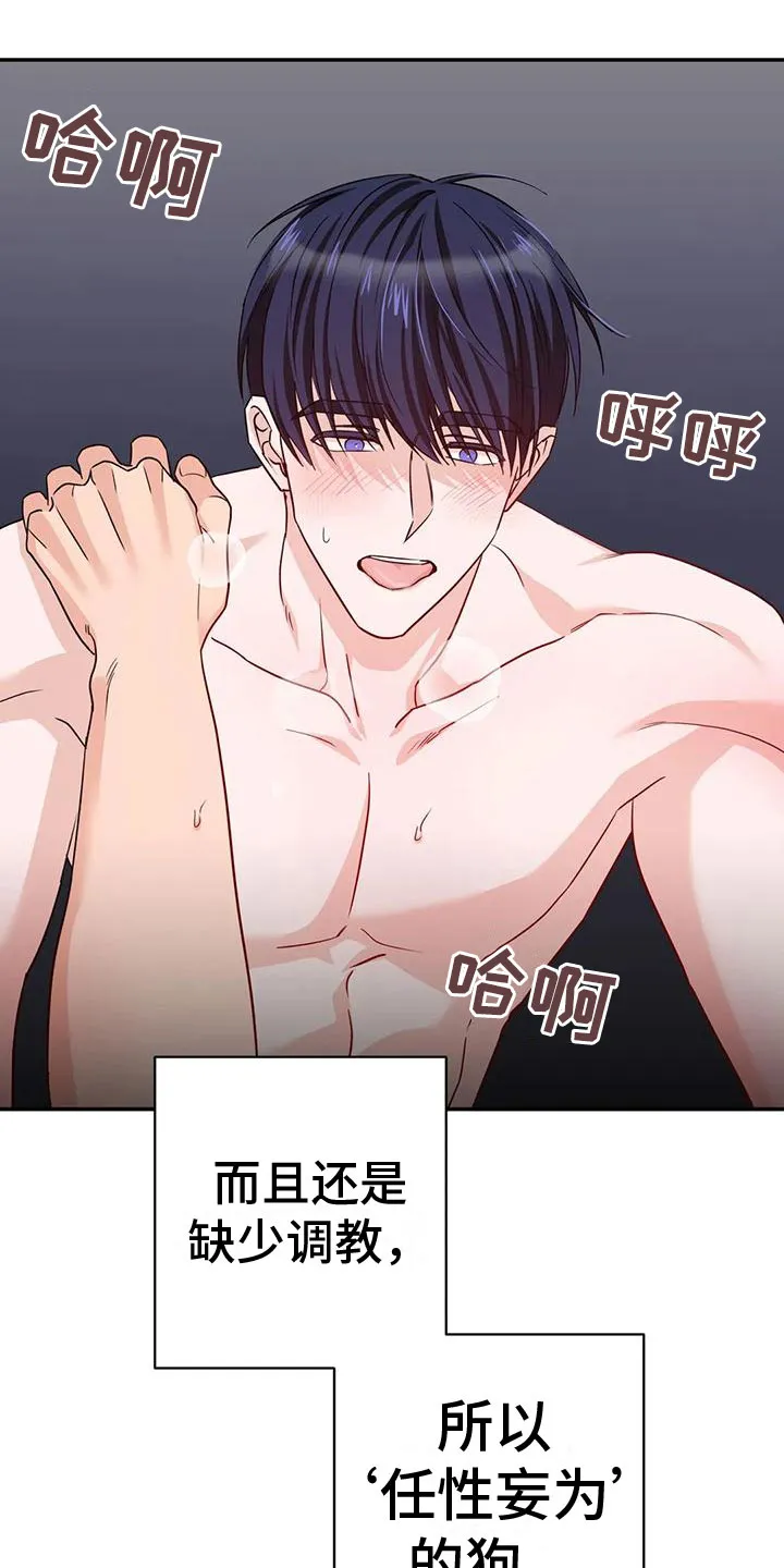 危险保镖漫画漫画,第16章：答应4图