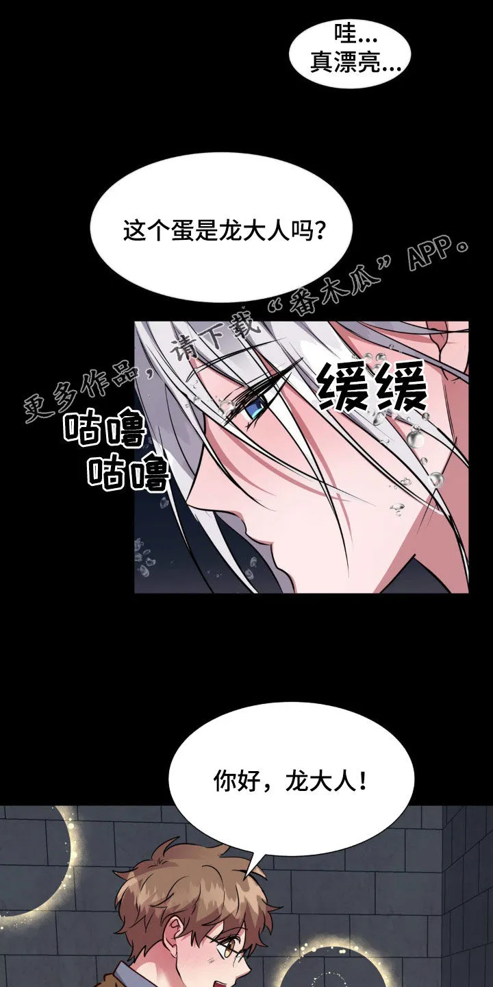 龙之蜜堡漫画漫画,第66章：无法平凡（完结）2图
