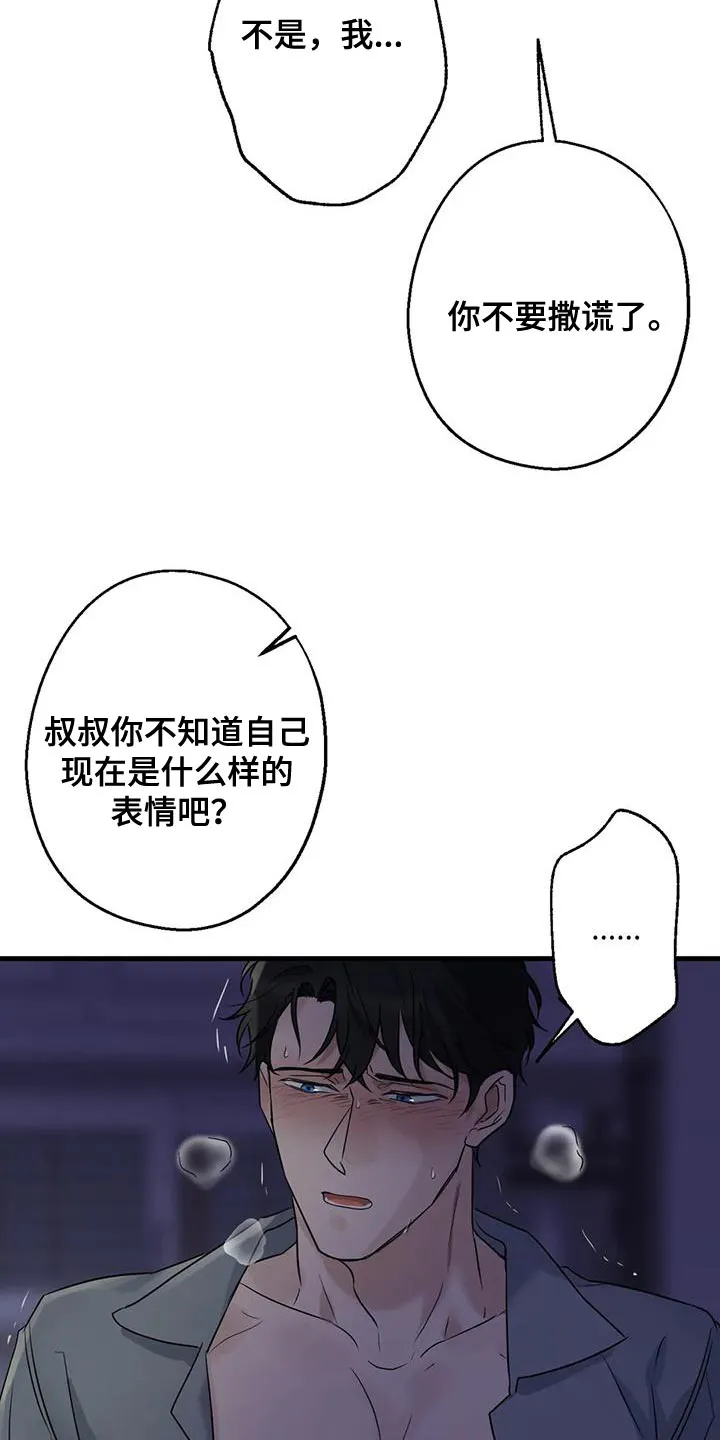 年下之恋漫画全集在线观看漫画,第50章：负责16图