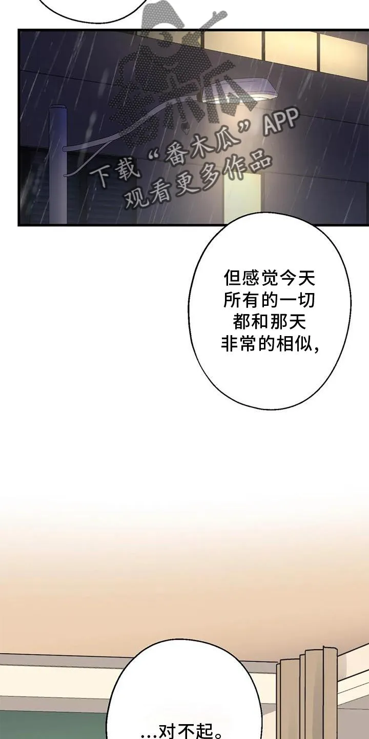 年下之恋漫画漫画,第29章：对不起16图