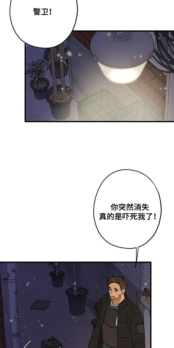 年下之恋漫画漫画,第63章：最好的选择14图