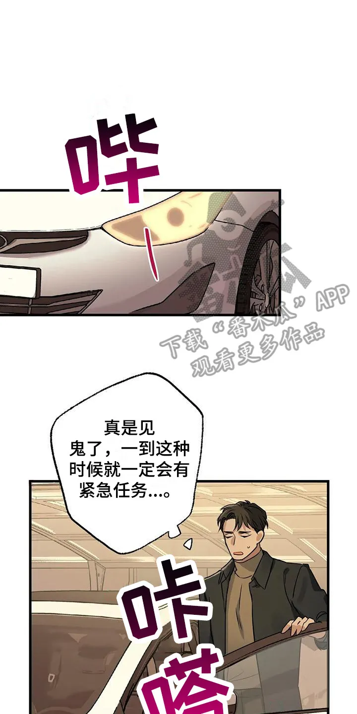 年下之恋漫画全集在线观看漫画,第12章：礼物2图