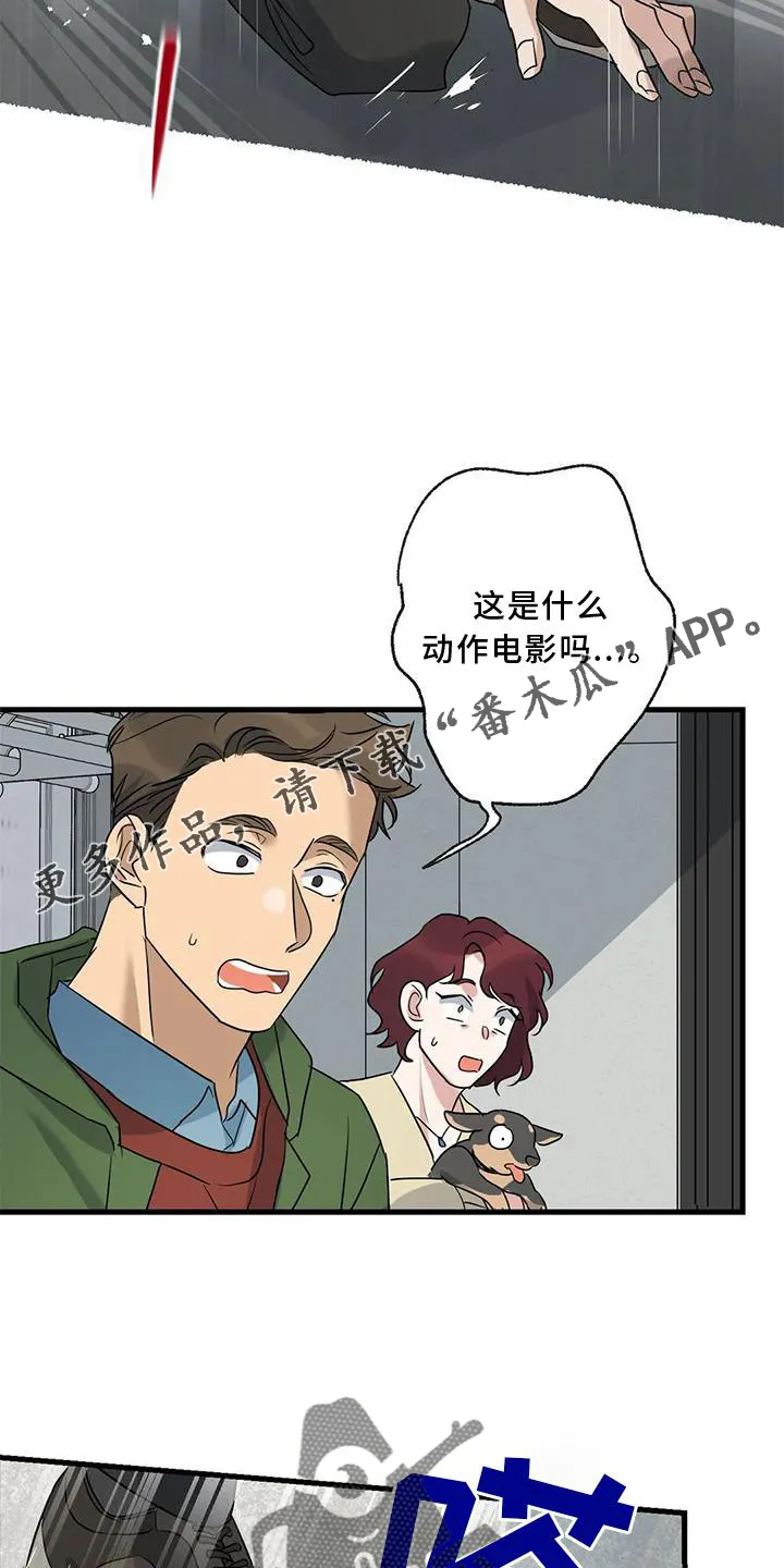 年下之恋漫画漫画,第36章：捉贼19图