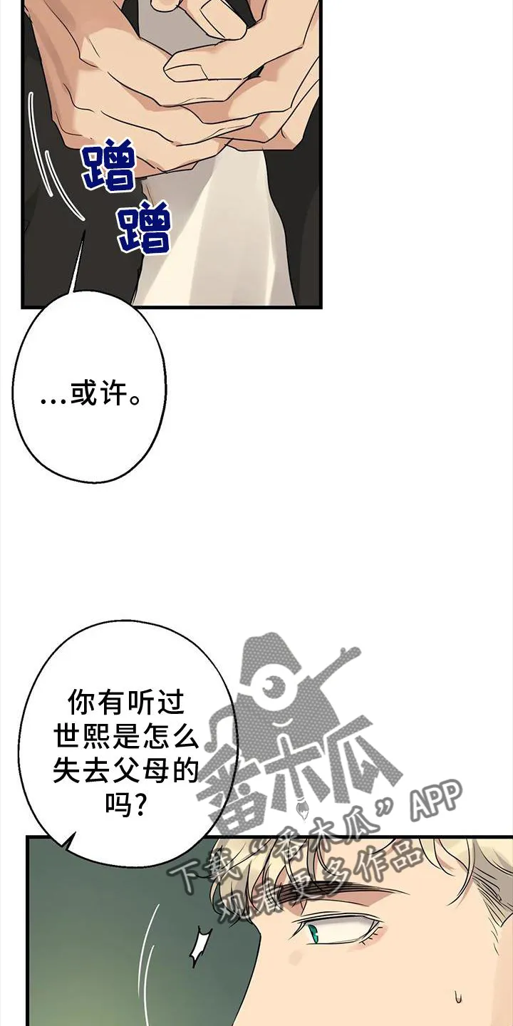 年下之恋漫画全集在线观看漫画,第28章：责任11图