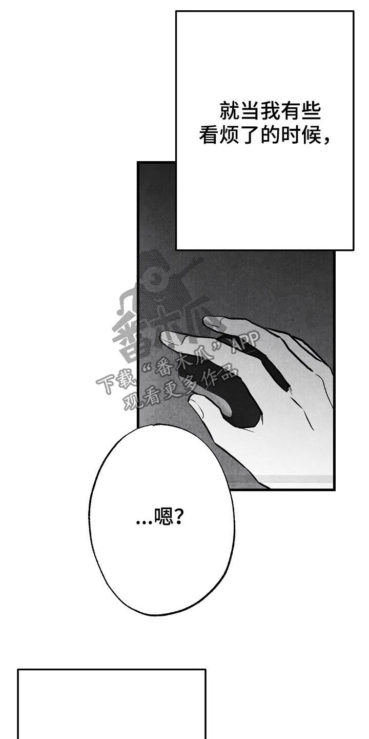 茶生活治愈人生漫画,第81章：【第二季】蛛丝马迹13图