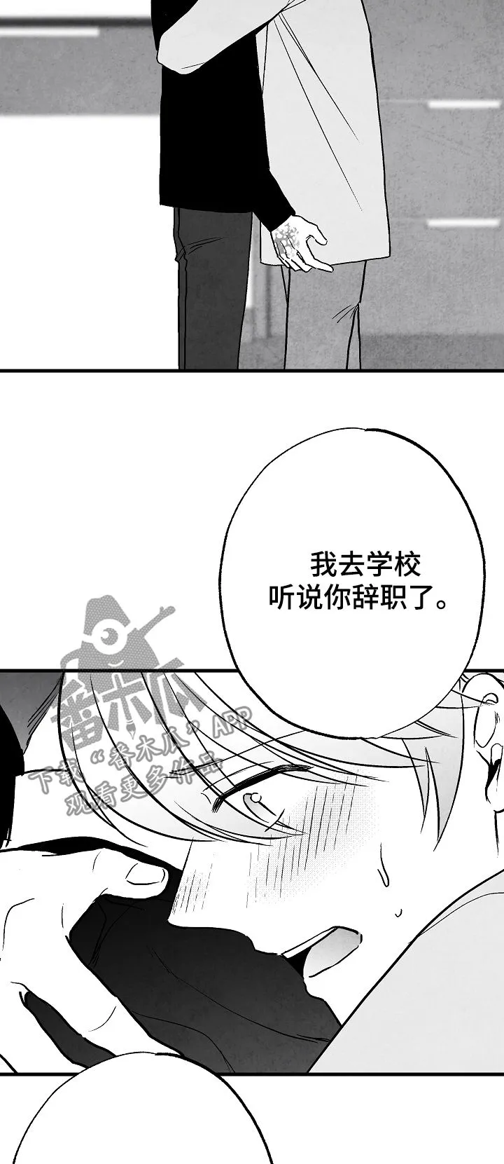 茶生活治愈人生漫画,第72章：离开4图