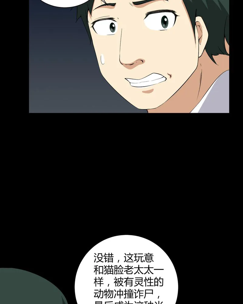 梦魇之旅漫画漫画,第23章：狂蟒之灾6图