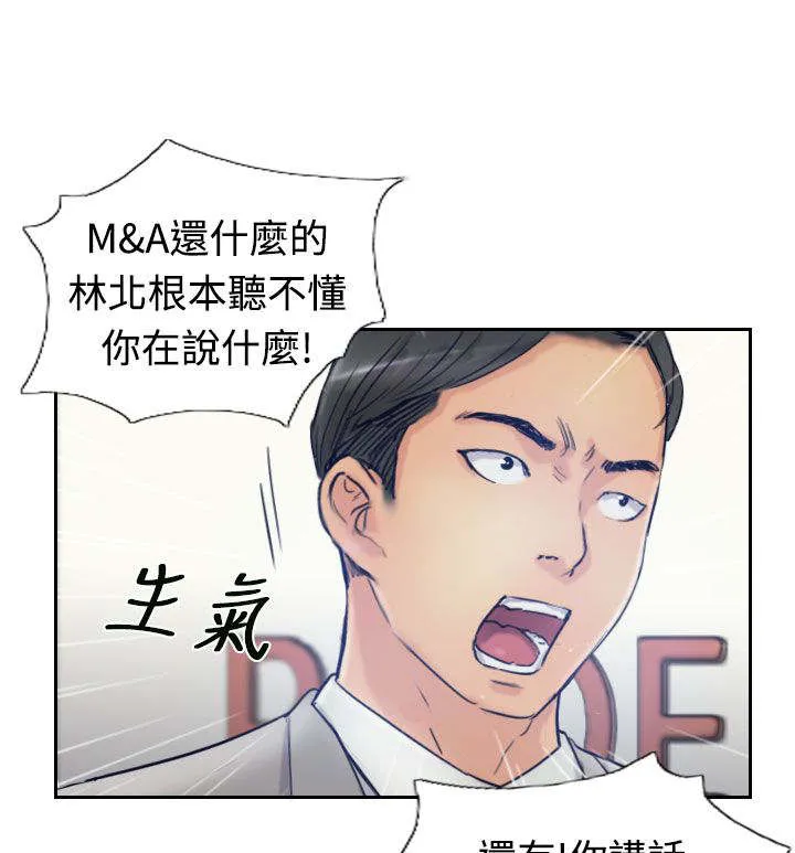 冒牌太子妃漫画免费阅读土豪漫画漫画,第28章：会议12图