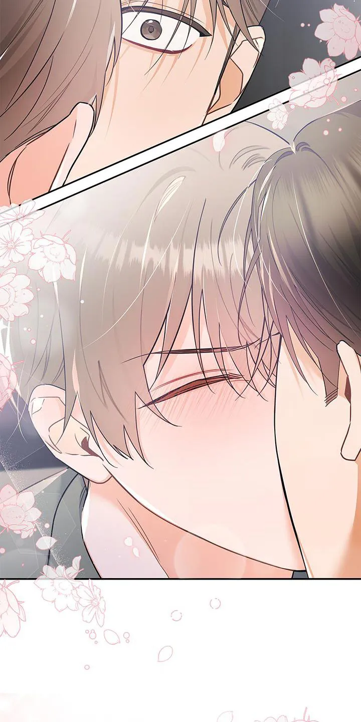 熟悉的面孔陌生的感觉漫画,第78章：抱歉的心情26图
