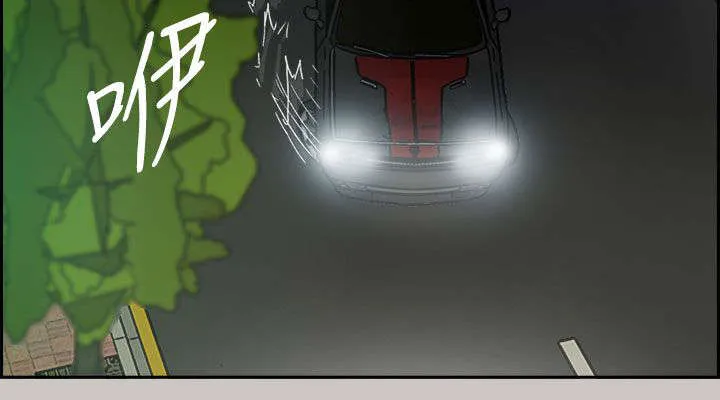 出拳表情包漫画,第70章：救人29图