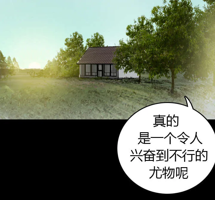 复仇之岛漫画漫画,第13章：绝望与寄托23图
