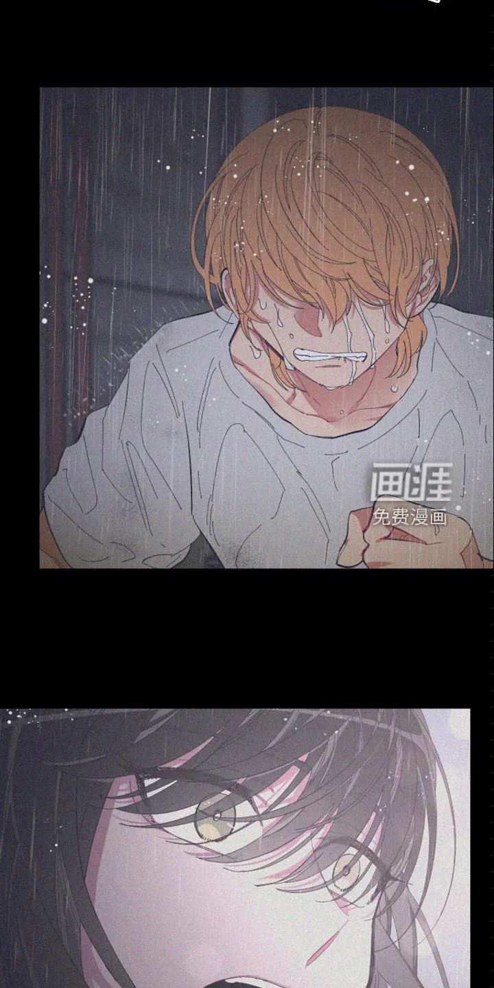 爱在来世漫画漫画,第77章：【第二季】小屁孩不能喝酒18图