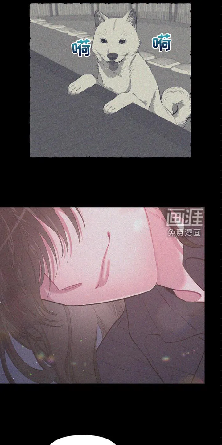 爱在来世漫画漫画,第80章：【第二季】从来没这样过11图
