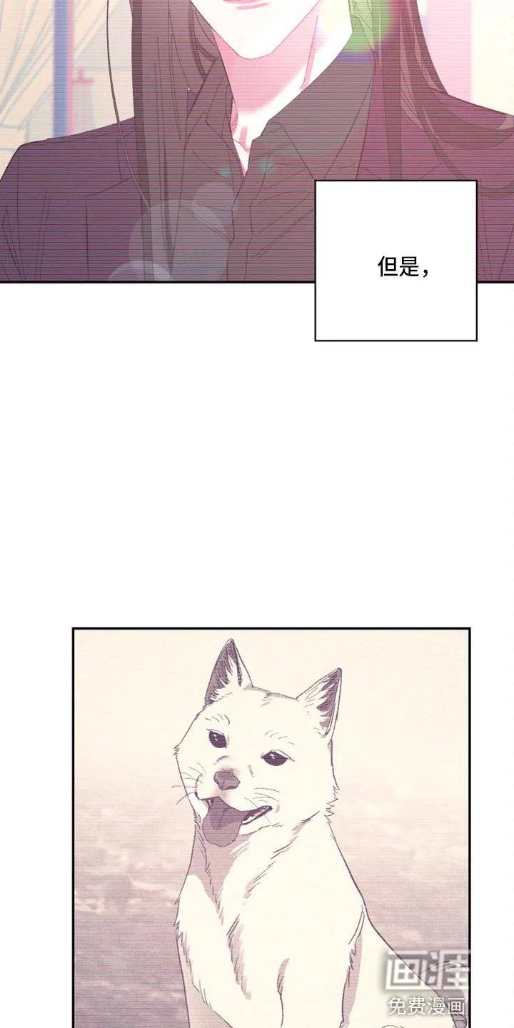 爱在来世漫画漫画,第90章：【第二季】当然不会12图