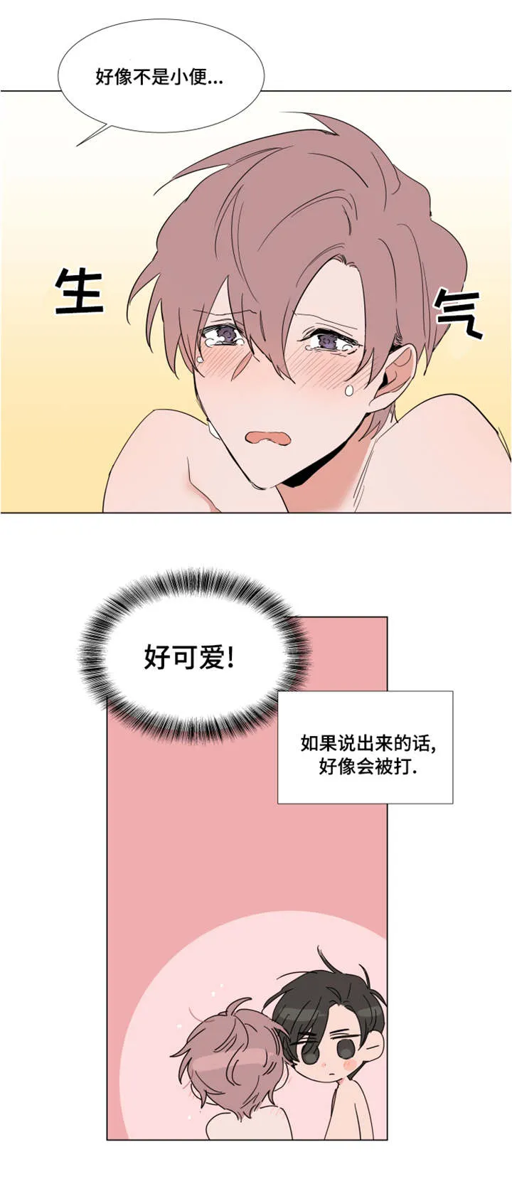 植物效应漫画完整版全集7 2漫画,第52章：禁令8图