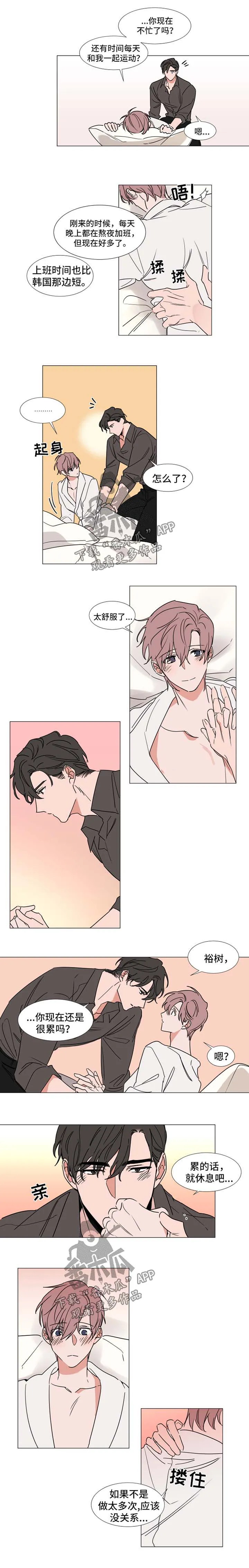 《植物效应》漫画漫画,第78章：标准2图