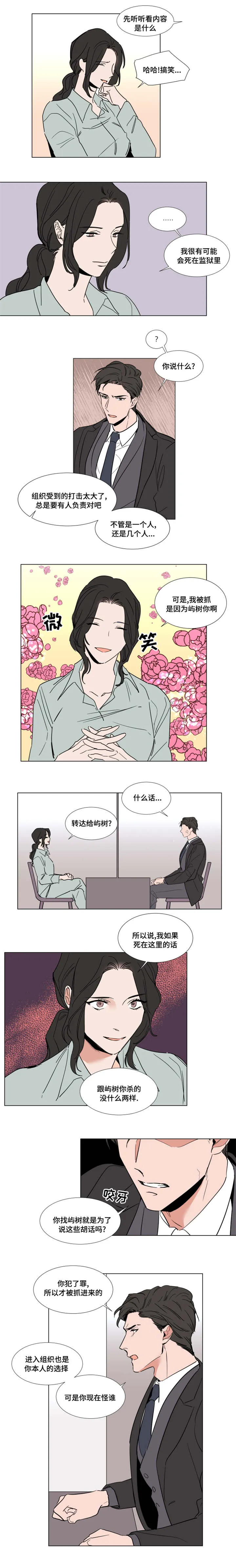 植物效应漫画在哪里看漫画,第54章：戒指5图