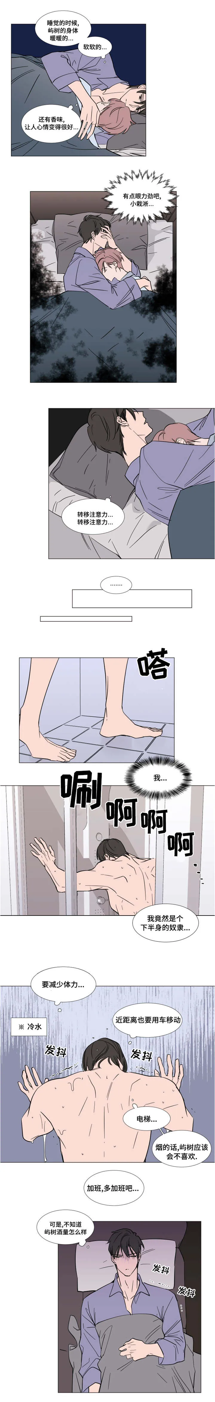 植物效应漫画漫画,第59章：父母的遗物4图