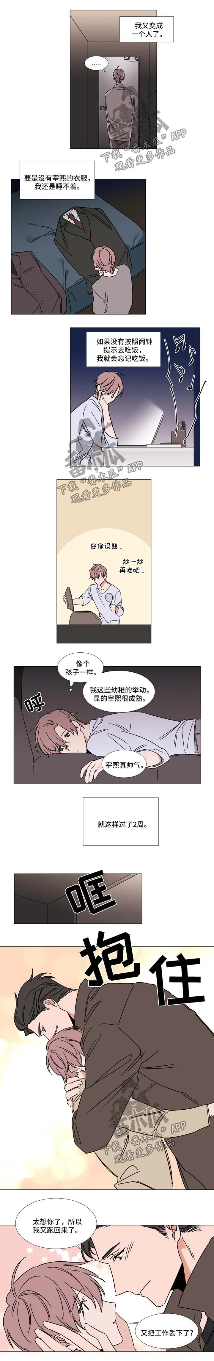 《植物效应》漫画漫画,第71章：想你4图