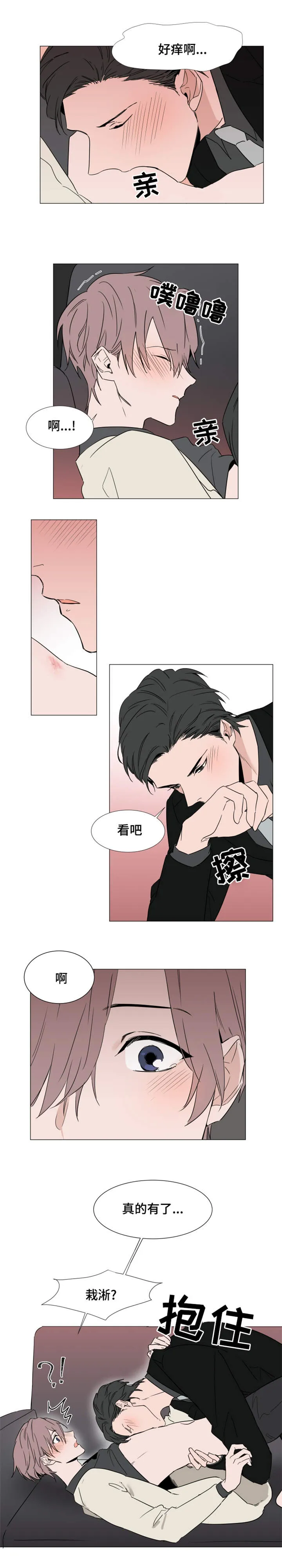 植物效应漫画妖精漫画,第17章：心跳9图