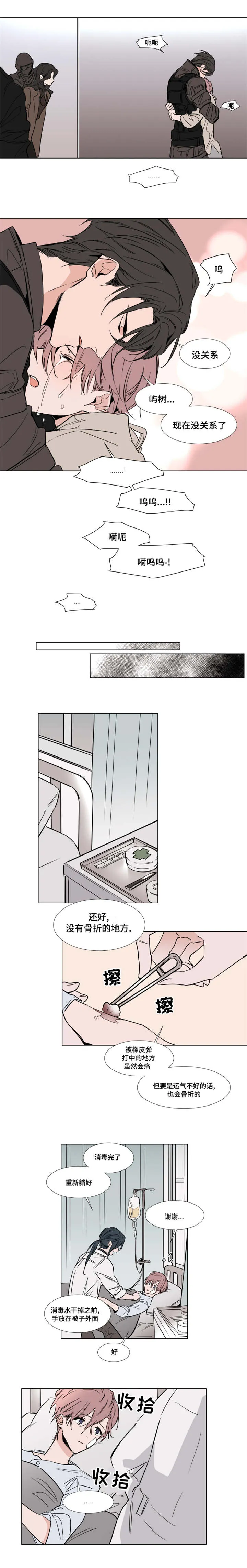 《植物效应》漫画漫画,第43章：初吻3图
