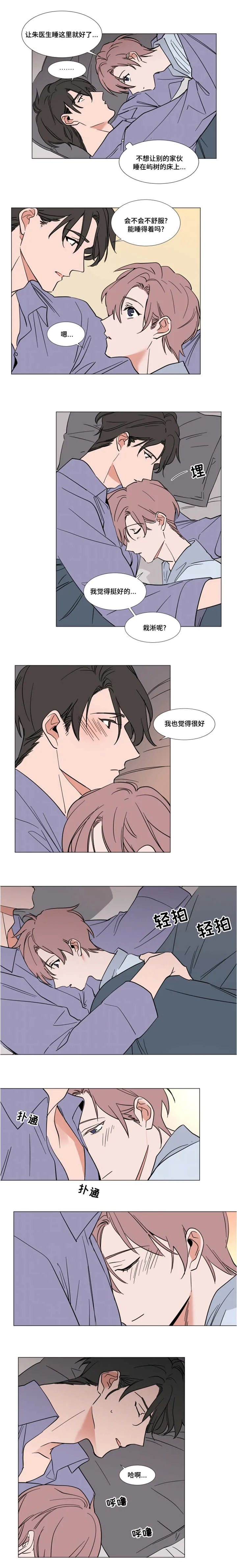 植物效应漫画漫画,第59章：父母的遗物3图