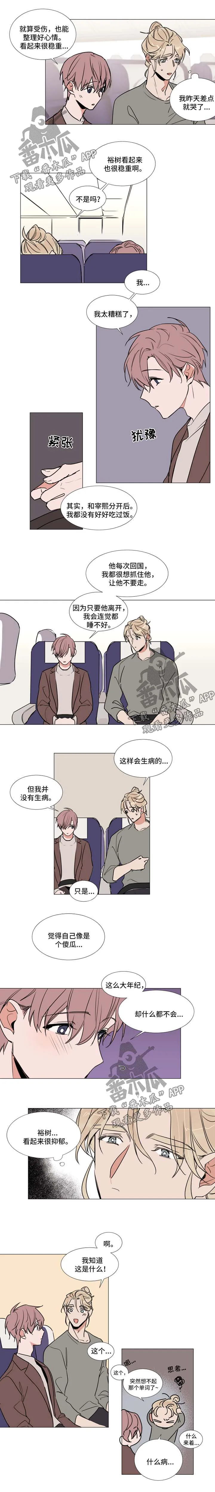 植物效应漫画全集观看漫画,第75章：起飞3图