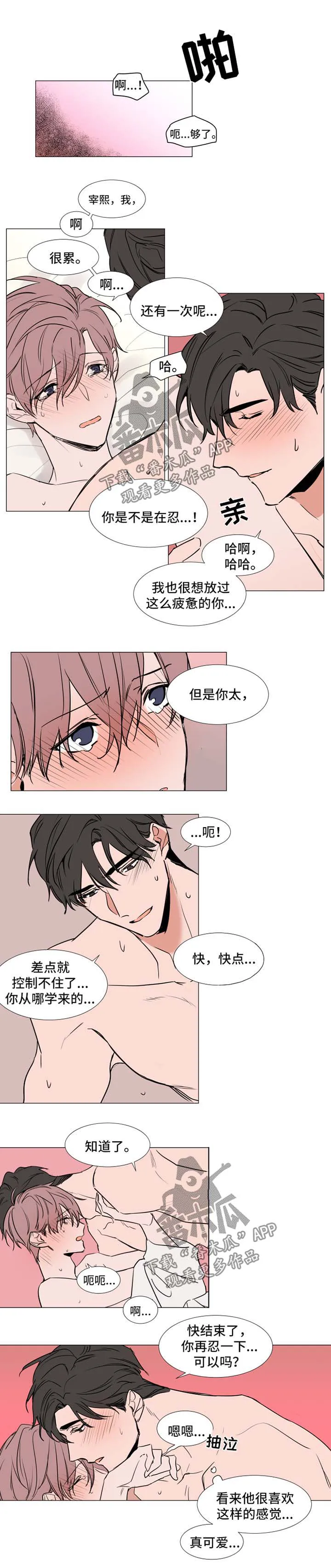 《植物效应》漫画漫画,第78章：标准4图