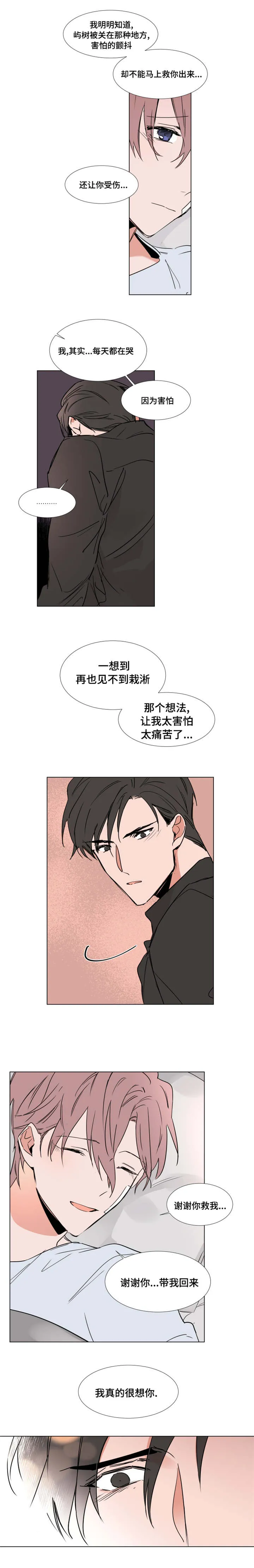 《植物效应》漫画漫画,第43章：初吻7图