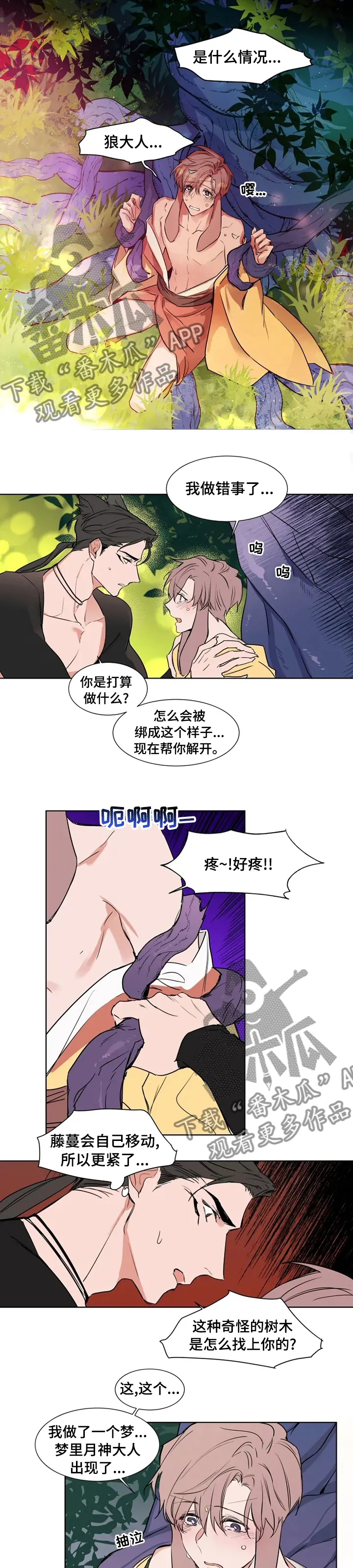 《植物效应》漫画漫画,第85章：【特别版】做错事了5图