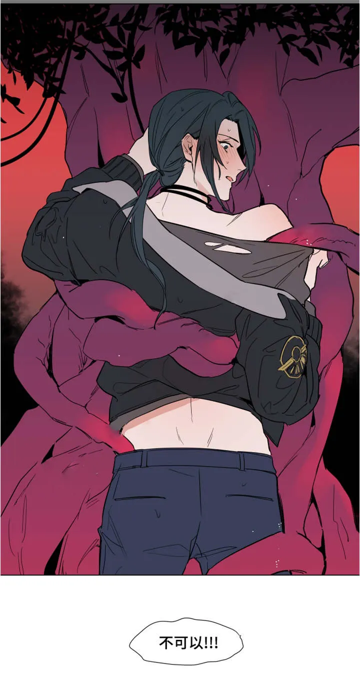 植物效应漫画在哪里看漫画,第56章：不原谅8图