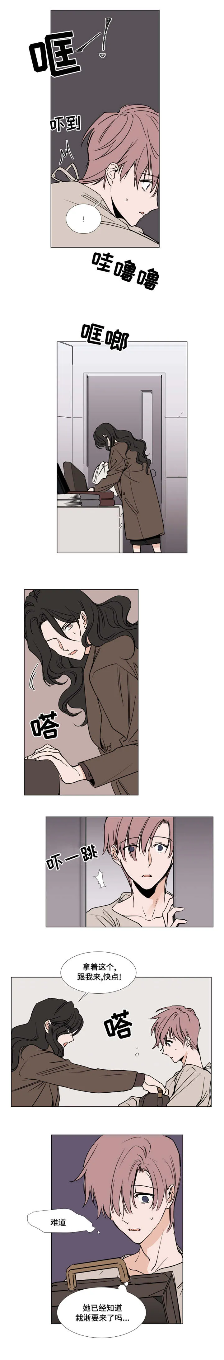 植物效应漫画漫画,第42章：获救3图