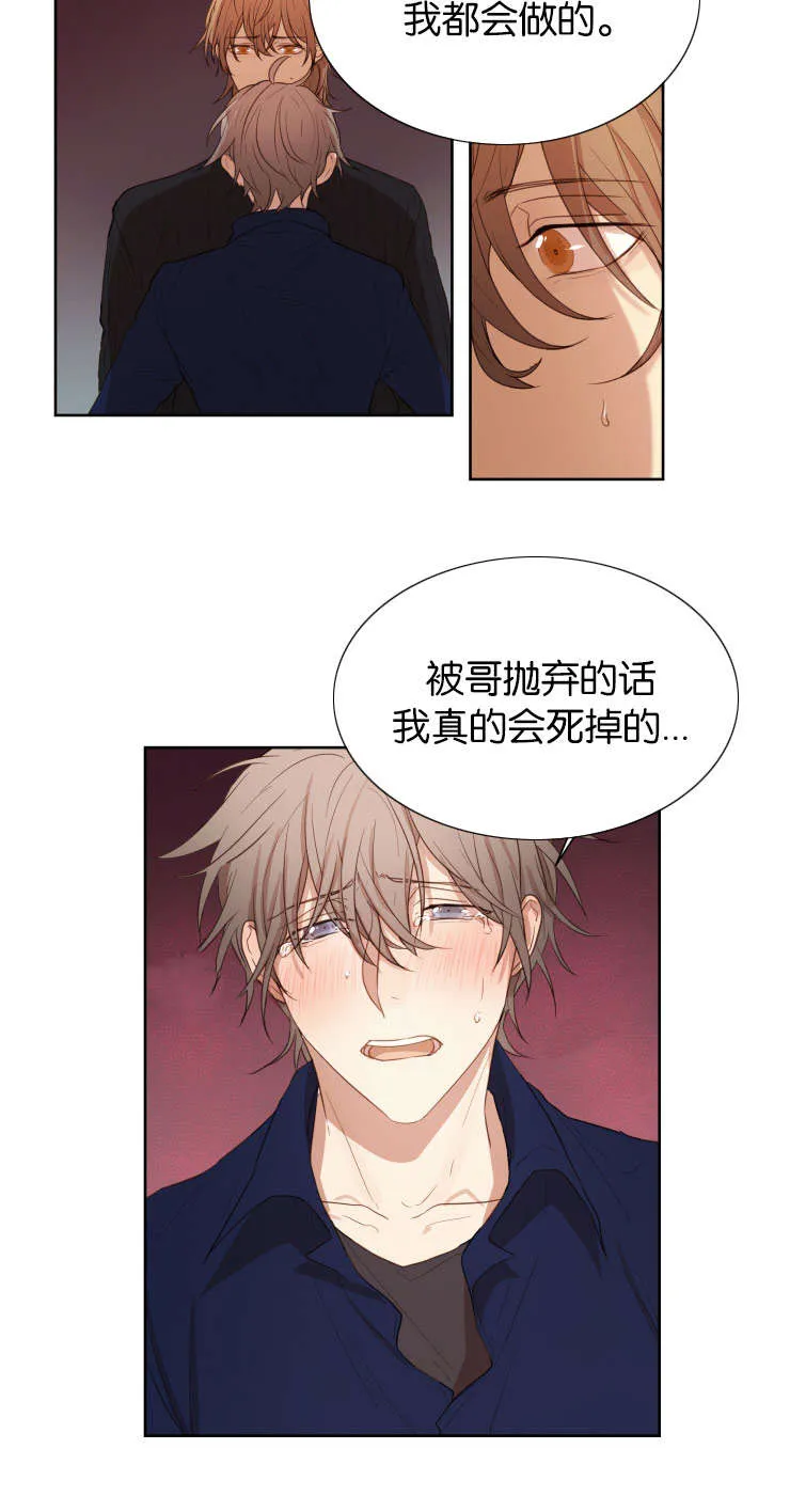赏罚关系漫画漫画,第29章：被抛弃会死掉14图