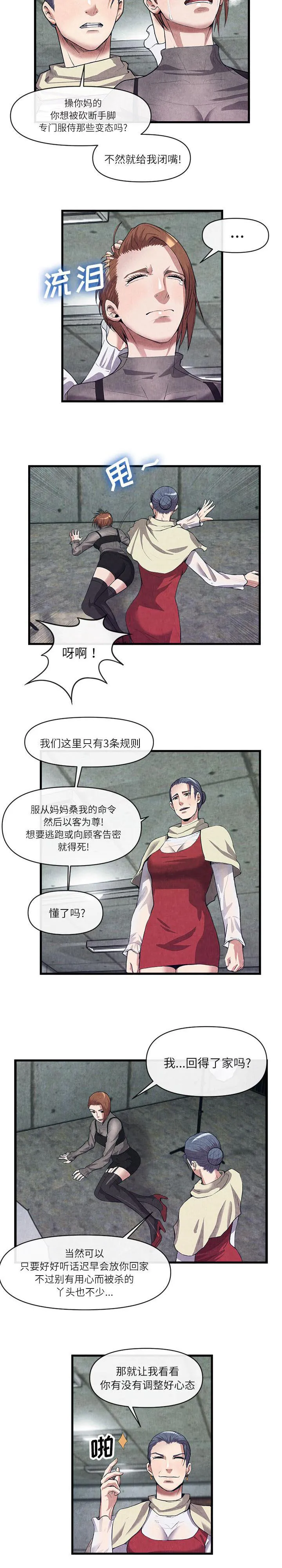 任职凤凰村漫画漫画,第62章：带走6图