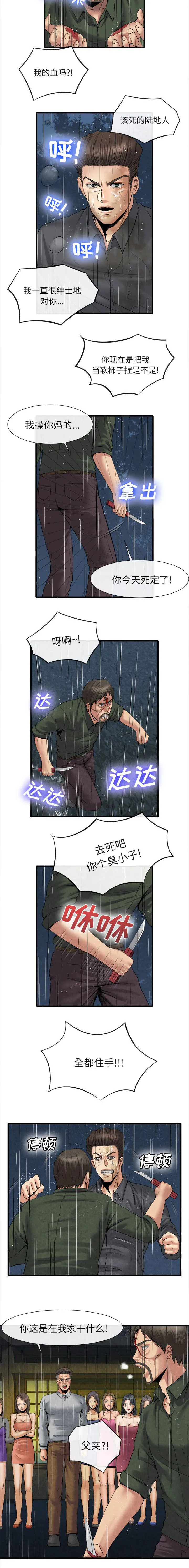 任职凤凰村漫画漫画,第40章：全都住手4图