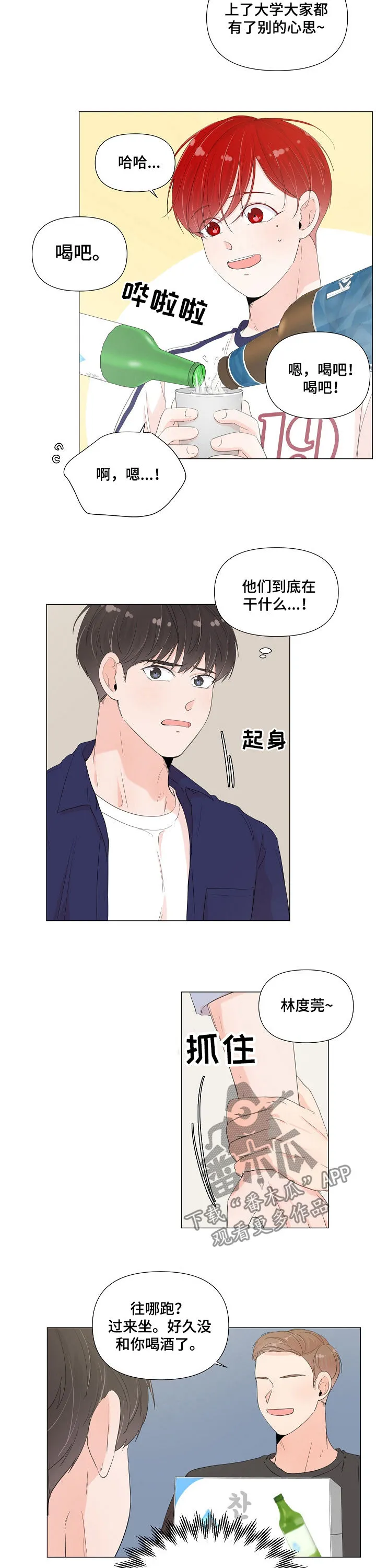女人失忆漫画漫画,第55章：喝酒6图