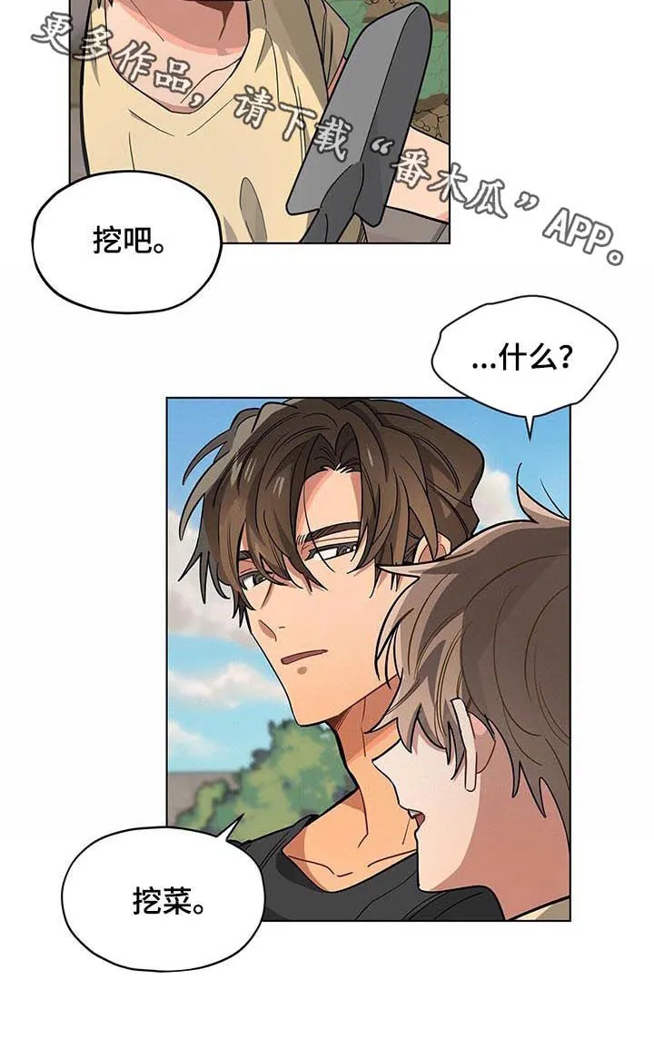 无法触摸后续漫画,第41章：挖菜11图