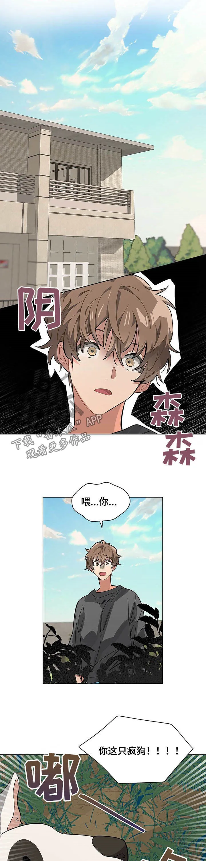 无法触摸漫画漫画,第59章：混球8图
