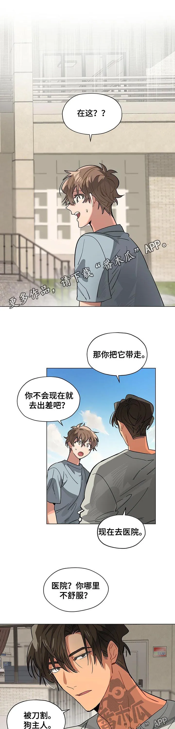 无法触摸漫画漫画,第57章：狗主人1图